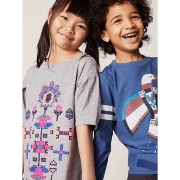 NEW Tea Collection Toddler Girls Size 4 Heather Grey Dakota Graphic Dress - Picture 1 of 6